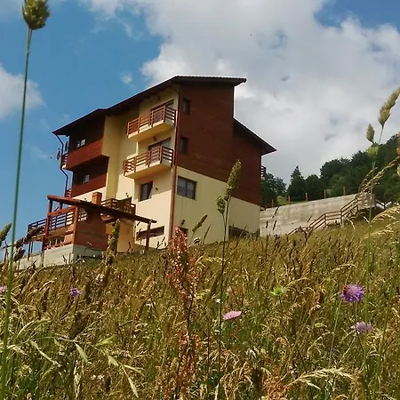 Pensiunea Daria Fundata Exterior photo